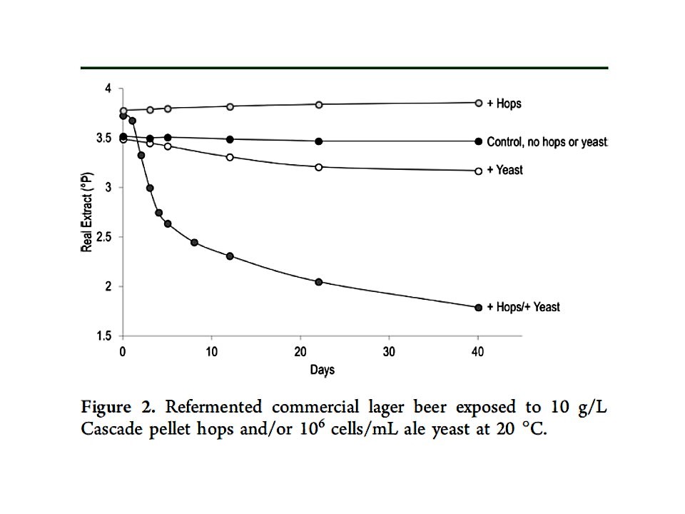 Hop Addition Times Chart