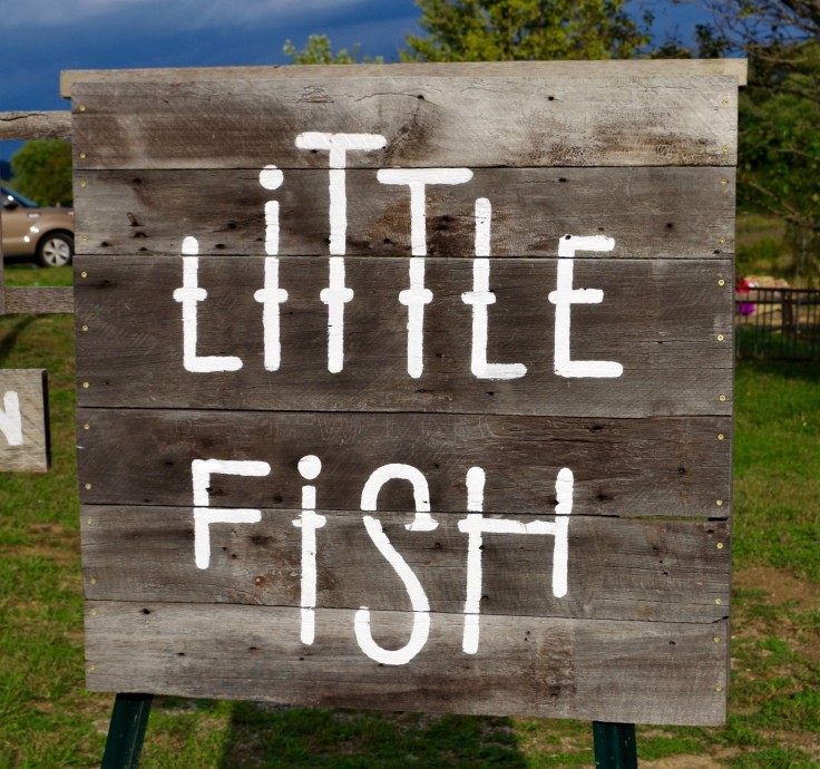 Little Fish Sign